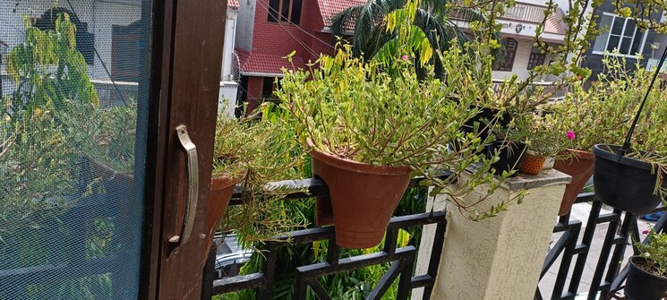 Balcony, sector 33 5 Bedroom 162 Sq.Ft. Independent House In Sector 33 Noida 8189550