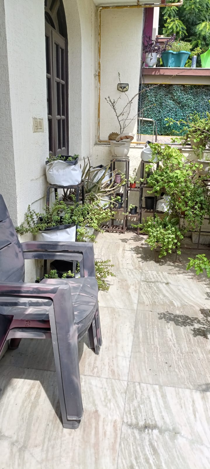 5 BHK + Study Room Independent House For Sale in Sector 52