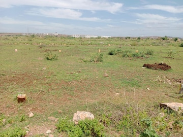 Plot For Resale in Kodandapur Junction Kurnool  8189638