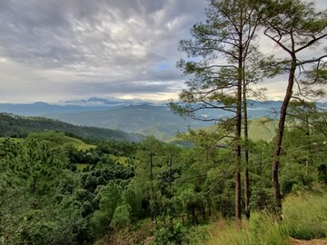 Plot Area in  Land at Dhanachuli – for Sale