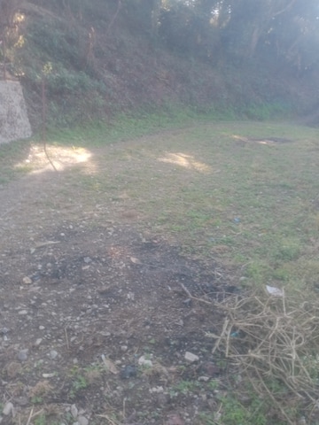 Commercial Land 4200 Sq.Ft. For Resale in Bhimtal Nainital  8189963