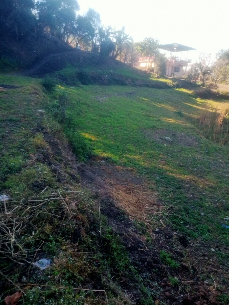 Garden, bhimtal Commercial Land 4200 Sq.Ft. In Bhimtal Nainital 8189963