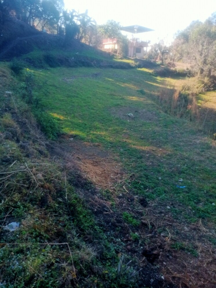 Garden, bhimtal Commercial Land 4200 Sq.Ft. In Bhimtal Nainital 8189963