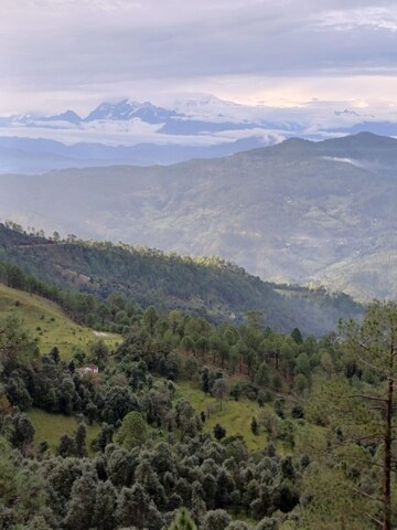  Land For Sale in Bhimtal