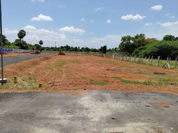 Plot For Resale in Kalamavur Pudukkottai  8190546