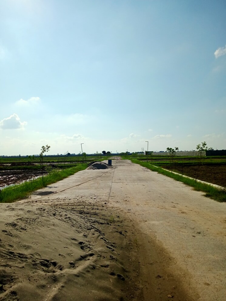 undefined, dev-city-dadri Commercial Industrial Plot 500 Sq.Yd. In Talabpur Urf Hathipur Greater Noida 8190569