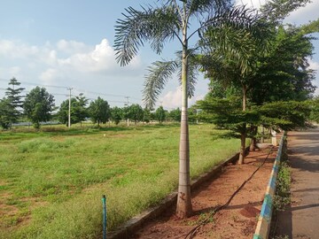 Plot Area in  Plot at Fortune The Highway Orchards, Burgula Village – for Sale