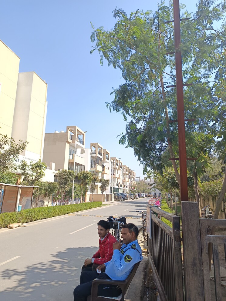 Exterior View, bptp-park-elite-floors 3 Bedroom 250 Sq.Yd. Builder Floor In Sector 85 Faridabad 8190780