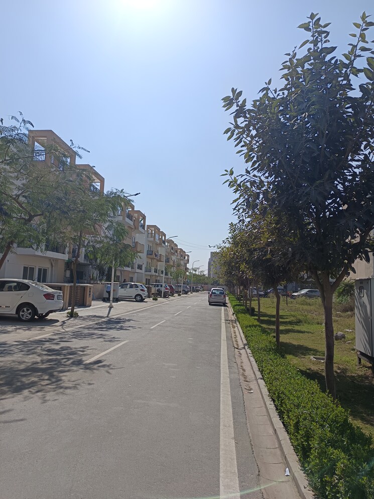  Parking, bptp-park-elite-floors 3 Bedroom 250 Sq.Yd. Builder Floor In Sector 85 Faridabad 8190780