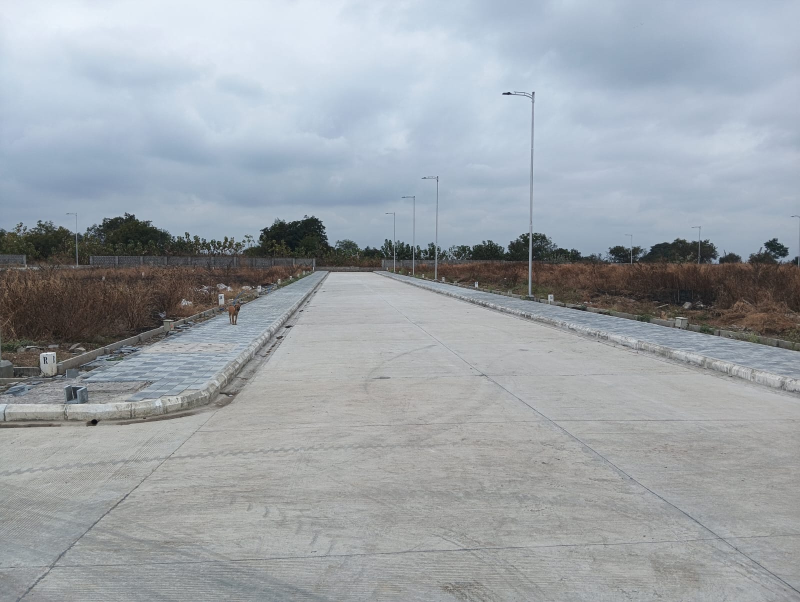 Plot For Sale in Dukes Westren County  Sha