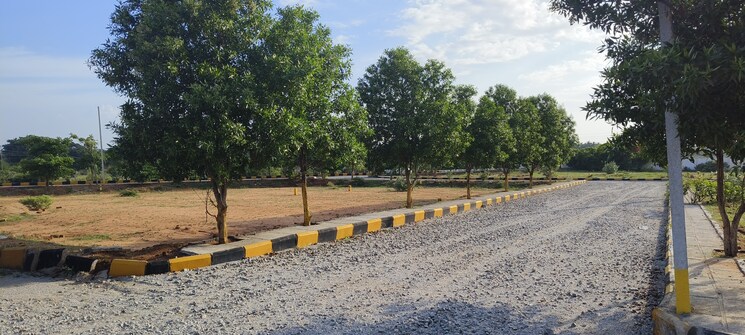 undefined, shadnagar  121 Sq.Yd. Plot In Shadnagar Hyderabad 8191086