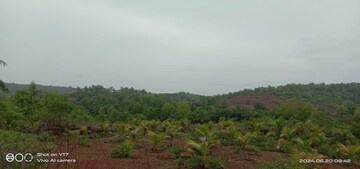 Plot Area in  Plot at Dapoli – for Sale