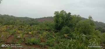 Plot Area in  Plot at Dapoli – for Sale