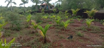  Plot – Exterior View View at Dapoli - for Sale