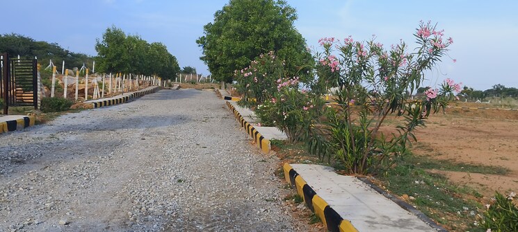 Garden, shadnagar  124 Sq.Yd. Plot In Shadnagar Hyderabad 8191213