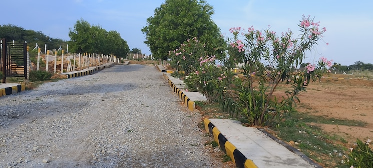 Garden, shadnagar  125 Sq.Yd. Plot In Shadnagar Hyderabad 8191246