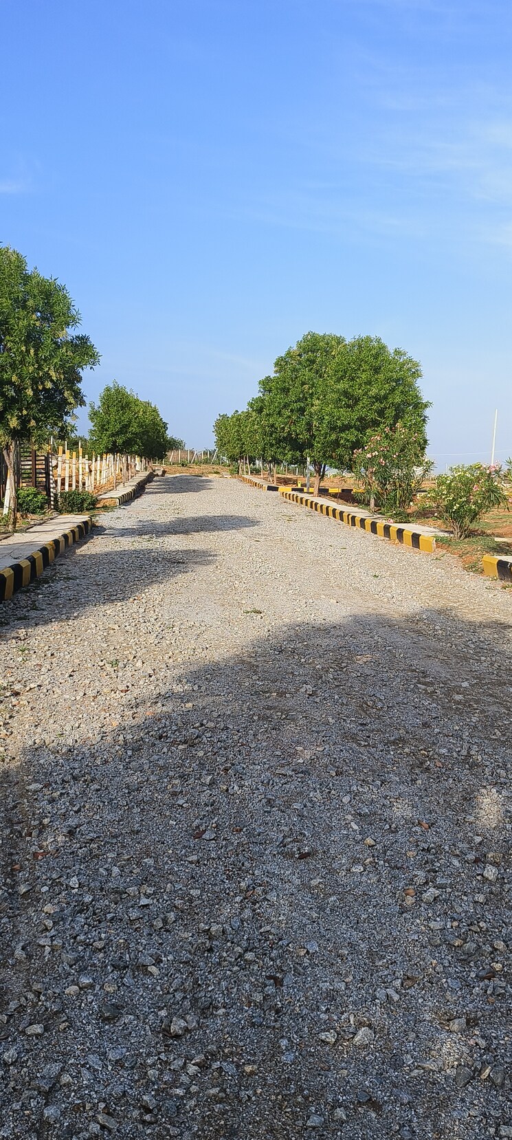 undefined, shadnagar  125 Sq.Yd. Plot In Shadnagar Hyderabad 8191246