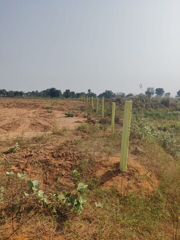 Plot Area in  Plot at Agra Road – for Sale