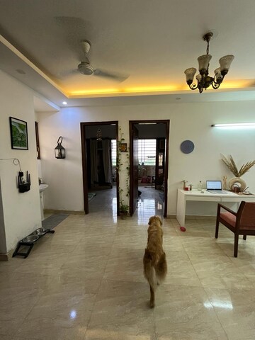 Room in 2 BHK Builder Floor at Saket – for Rent