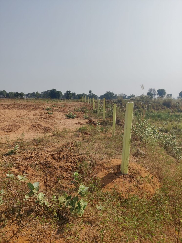 undefined, agra road  200 Sq.Yd. Plot In Agra Road Dausa 8191455