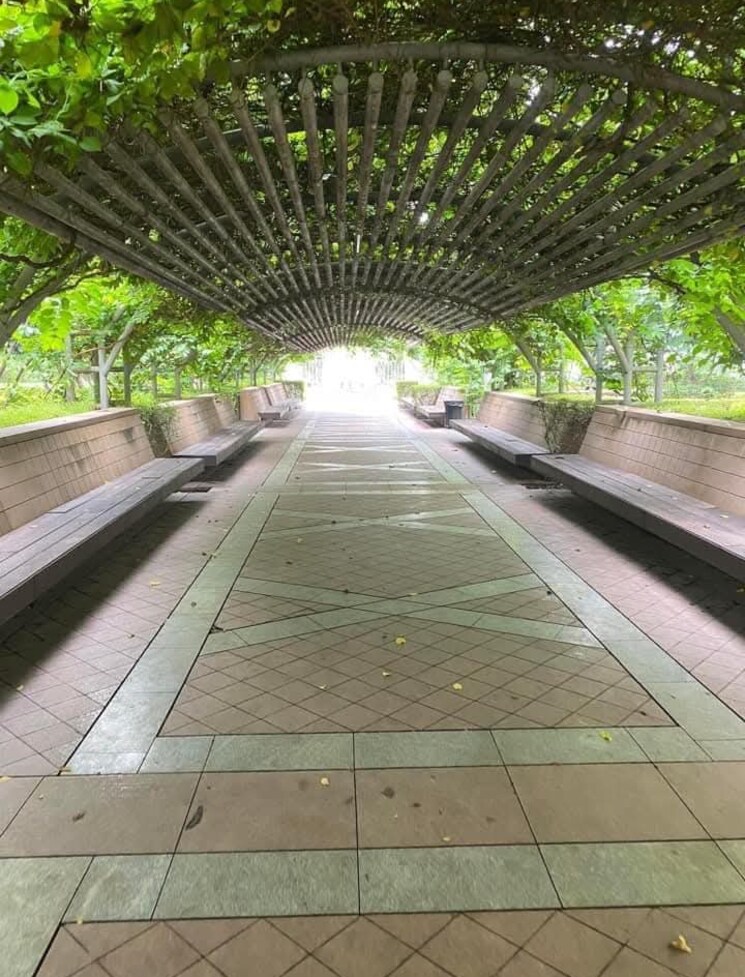 Garden, dlf-regal-gardens 3 Bedroom 1744 Sq.Ft. Apartment In Sector 90 Gurgaon 8191706