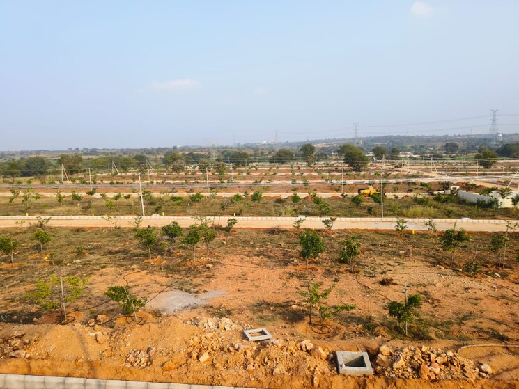 undefined, arising-peacock-valley  165 Sq.Yd. Plot In Kadthal Hyderabad 8191738