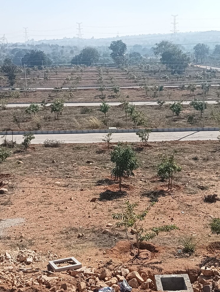 undefined, arising-peacock-valley  165 Sq.Yd. Plot In Kadthal Hyderabad 8191738