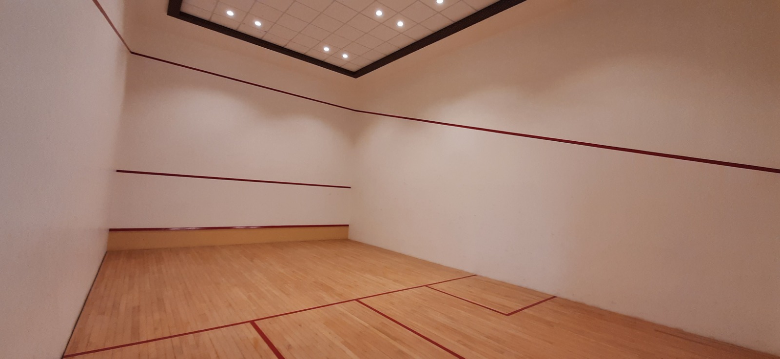 3 BHK Apartment For Sale in Mohan Altezza