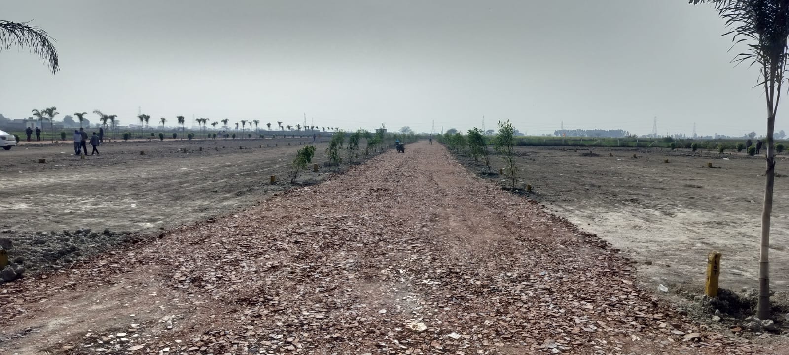 Plot For Sale in Ark Vista Jewar Internati