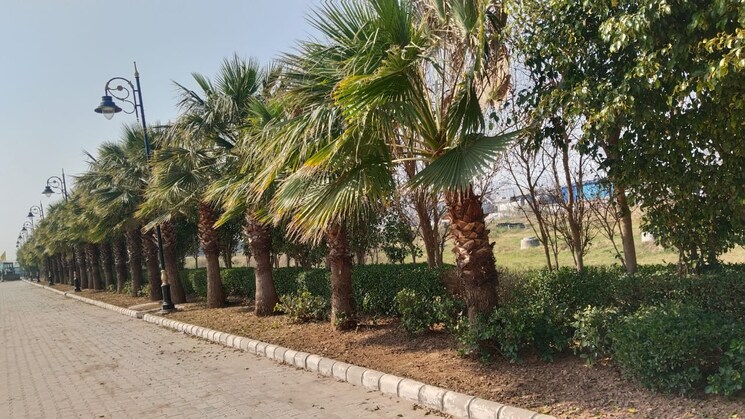 Garden, nagla road  100 Sq.Yd. Plot In Nagla Road Zirakpur 8191849