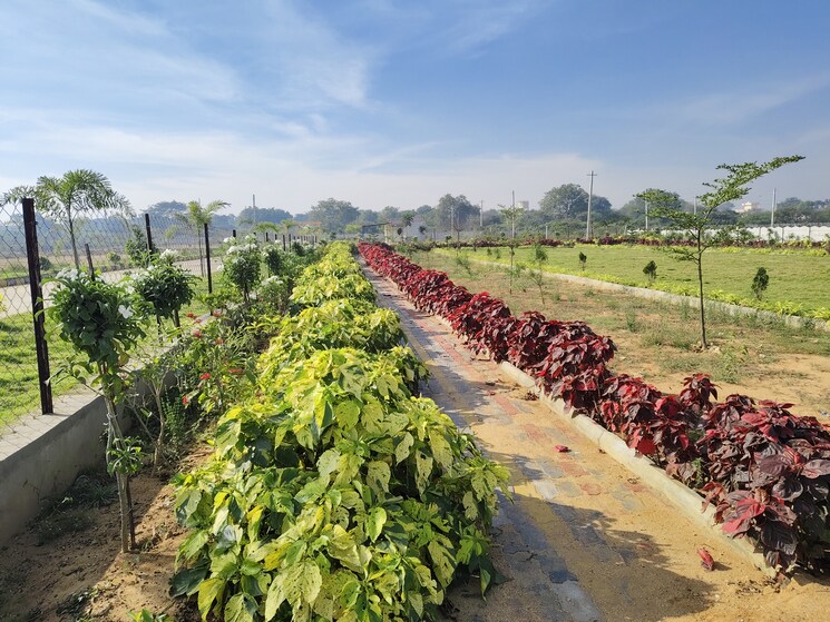 Garden, amerispace-dream-meadows  150 Sq.Yd. Plot In Kothur Hyderabad 8191871