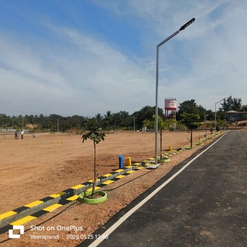 Plot Area in  Plot at Veerapandi – for Sale
