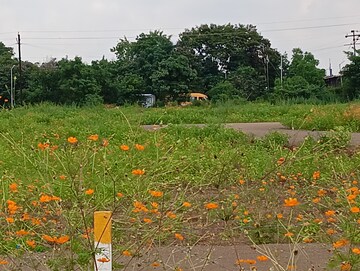 Plot For Resale in Gayatri Nagar Nashik  8192403