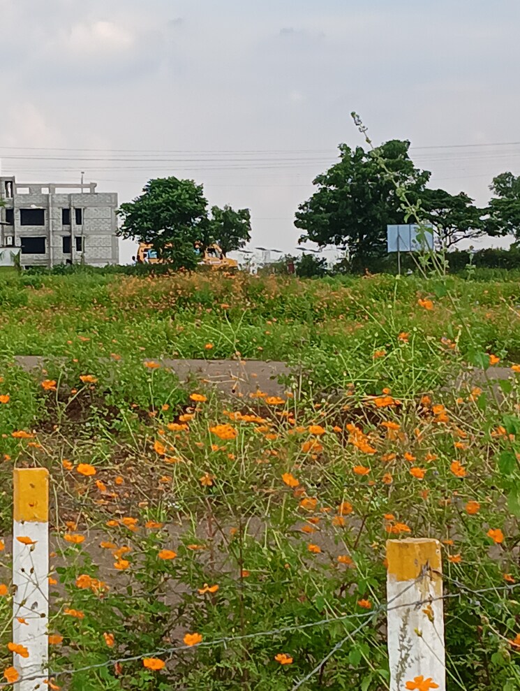 Exterior View, gayatri nagar  284 Sq.Yd. Plot In Gayatri Nagar Nashik 8192403