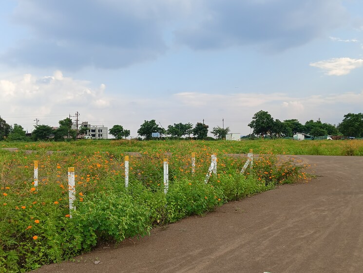 undefined, gayatri nagar  284 Sq.Yd. Plot In Gayatri Nagar Nashik 8192403
