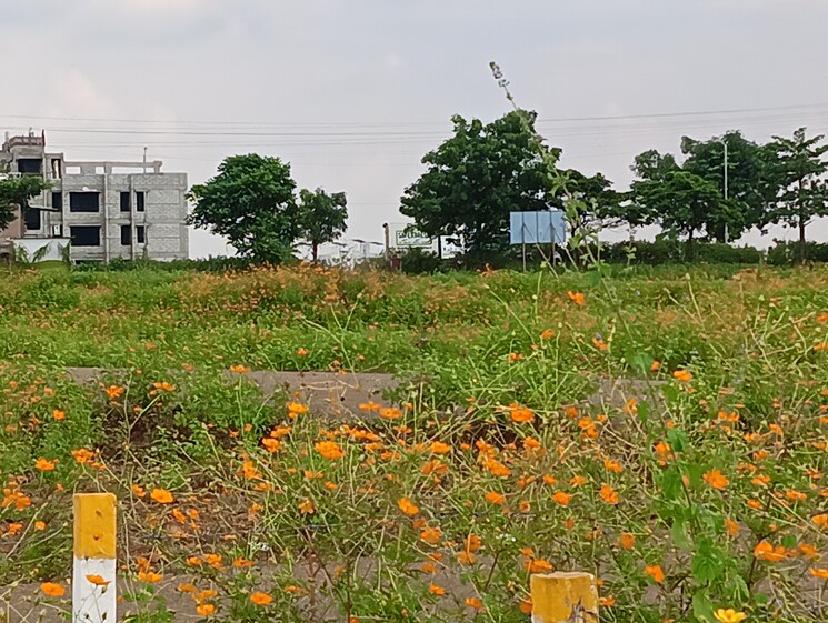 Exterior View, gayatri nagar  284 Sq.Yd. Plot In Gayatri Nagar Nashik 8192403