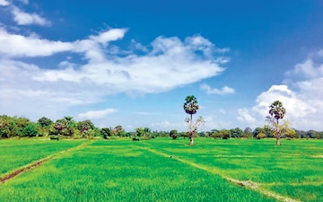 Plot For Sale in Kharar