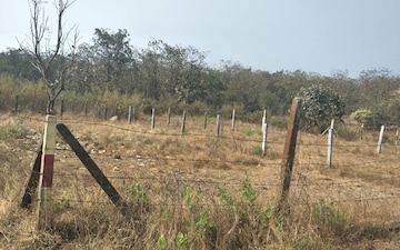 Plot For Sale in Shikohabad