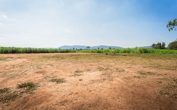 Plot For Sale in Patiala Road