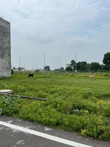 Plot Area in  Plot at Transport Nagar – for Sale