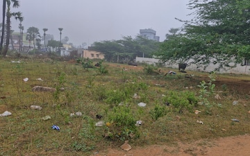 Plot For Sale in Tallavalasa
