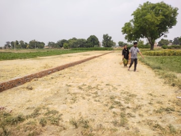 Plot For Resale in Shantipuram Allahabad  8194051