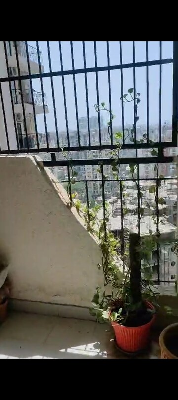 Balcony in 2 BHK Apartment at Charms Castle, Raj Nagar Extension – for Sale