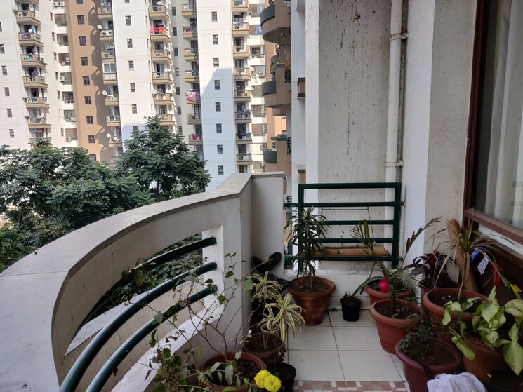 Balcony, vipul-greens 3 Bedroom 1895 Sq.Ft. Apartment In Sector 48 Gurgaon 8194485