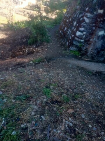 Plot Area in  Plot at Dhikuli – for Sale