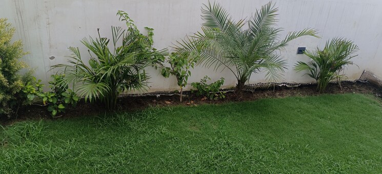 Garden, chinmay-urbanac-garden 4 Bedroom 5050 Sq.Ft. Villa In Gomti Nagar Lucknow 8194846