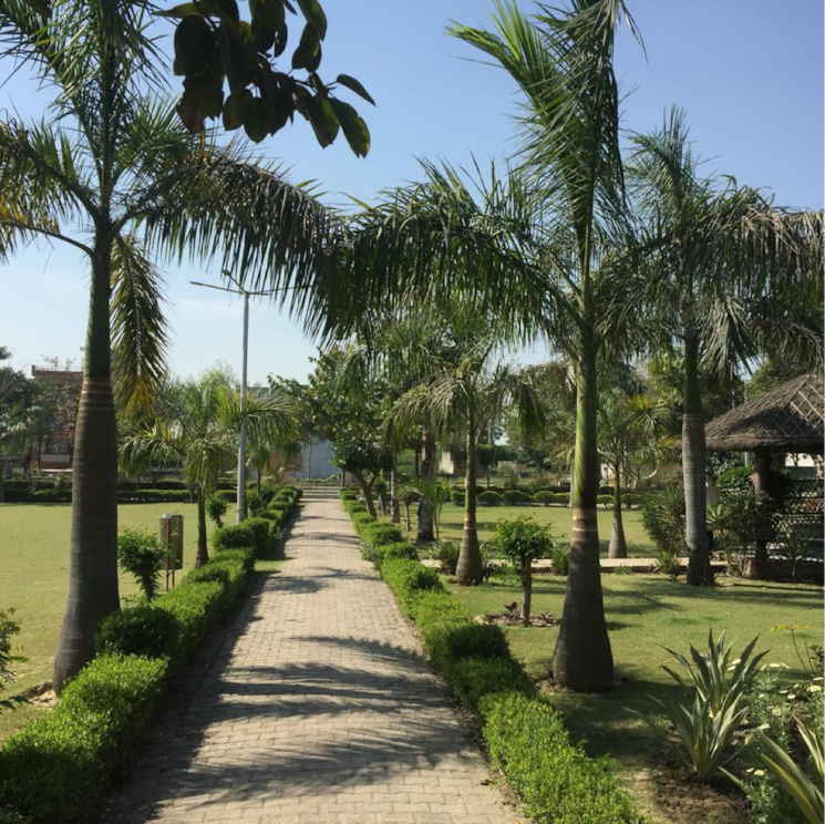 Garden, zestha-bhagirath-vihar-residency  144 Sq.Yd. Plot In Murshadpur Greater Noida 8194959