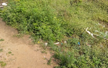 Plot For Sale in Hayathnagar