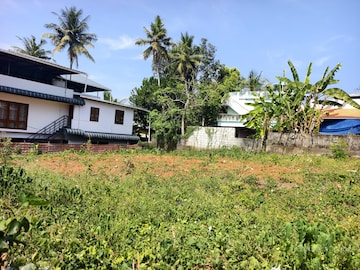 Plot For Resale in Pattom Thiruvananthapuram  8195061