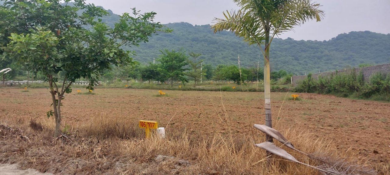 Plot For Sale in Vishal Estates Bhogapuram